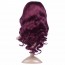 Wigs For Sale 99J Red Colored Body Wave Human Remy Hair 8A grade Brazilian Hair Wig for sale at humanbraidinghair.com