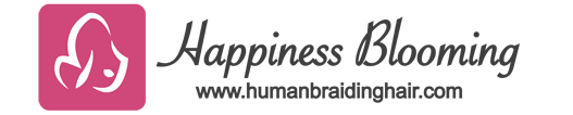 Human Braiding Hair | Best Human Braiding Hair for Sale Human Hair for Braiding Online Store - humanbraidingair.com